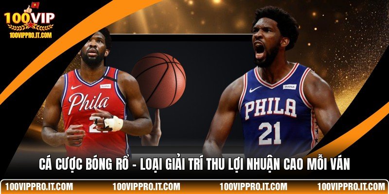 Cá Cược Bóng Rổ - Loại Giải Trí Thu Lợi Nhuận Cao Mỗi Ván