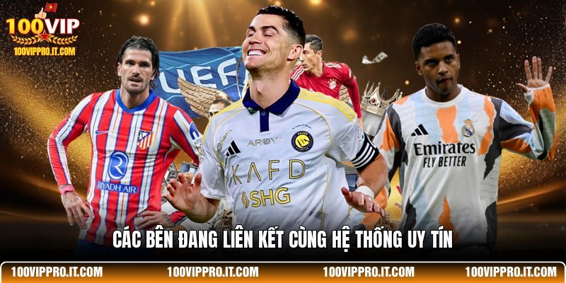 Các bên đang liên kết cùng hệ thống uy tín