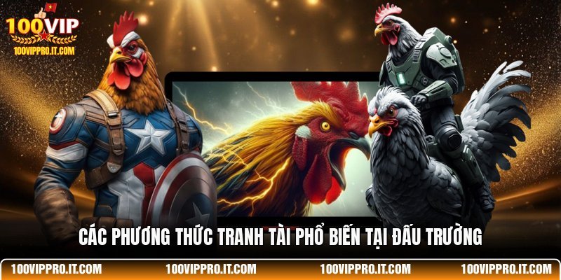 Các phương thức tranh tài phổ biến tại đấu trường