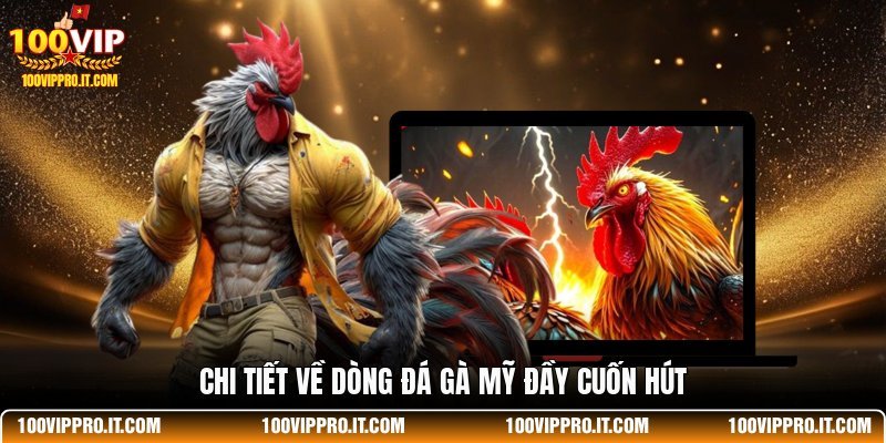 Chi tiết về dòng đá gà Mỹ đầy cuốn hút