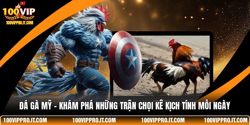 Đá Gà Mỹ - Khám Phá Những Trận Chọi Kê Kịch Tính Mỗi Ngày