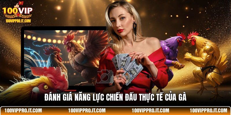 Đánh giá năng lực chiến đấu thực tế của gà