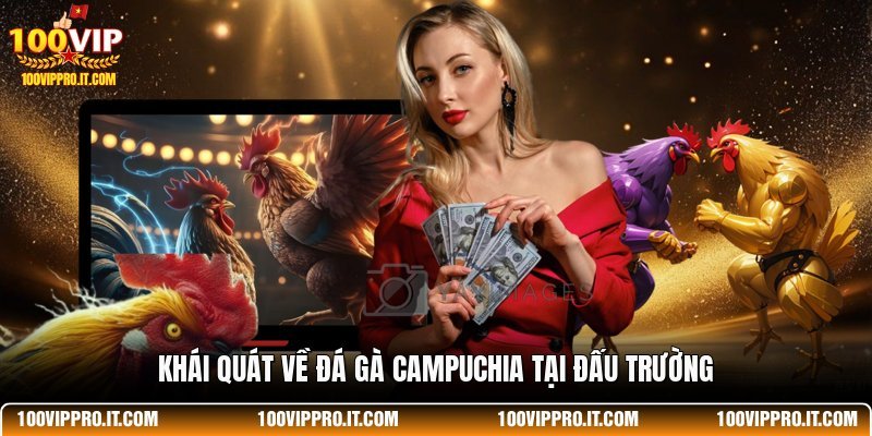 Khái quát về đá gà Campuchia tại đấu trường