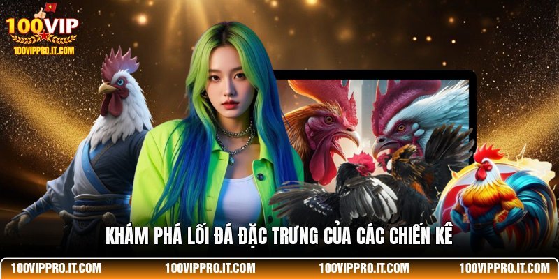 Khám phá lối đá đặc trưng của các chiến kê