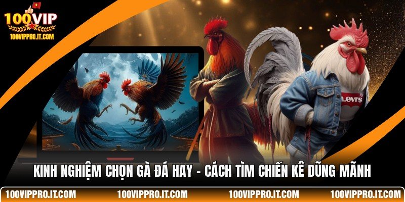 Kinh Nghiệm Chọn Gà Đá Hay - Cách Tìm Chiến Kê Dũng Mãnh