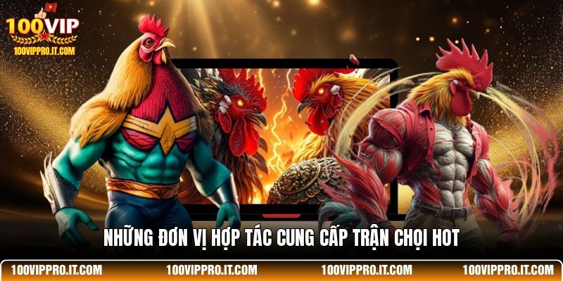 Những đơn vị hợp tác cung cấp trận chọi hot