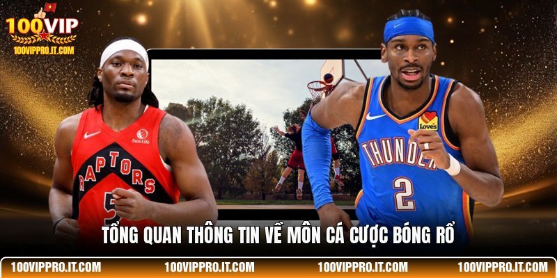Tổng quan thông tin về môn cá cược bóng rổ